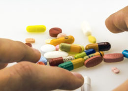 épidémie aux apiacés